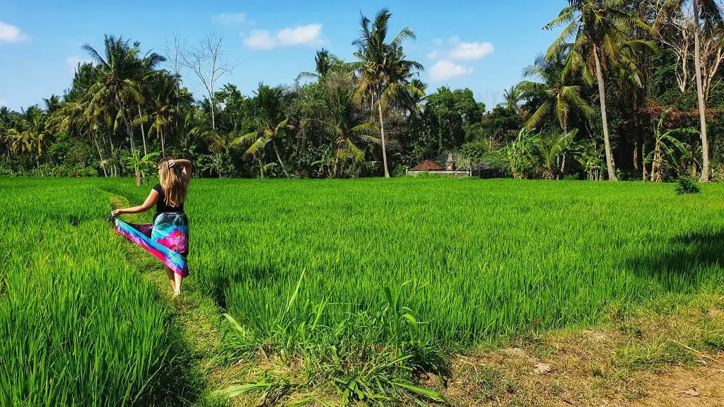 Where to stay in Bali - best locations in Bali rice fields