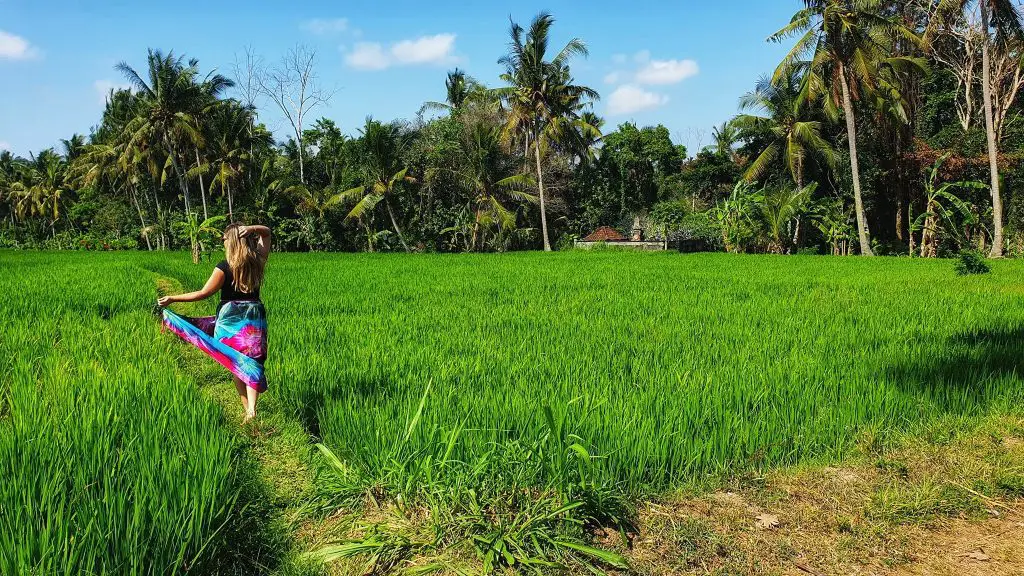 Travel With bender - Explore With Erin in Bali