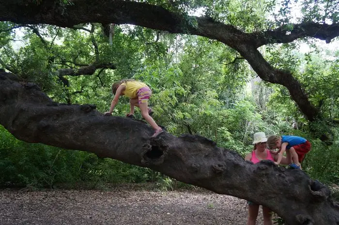 New Orleans with kids - zoo