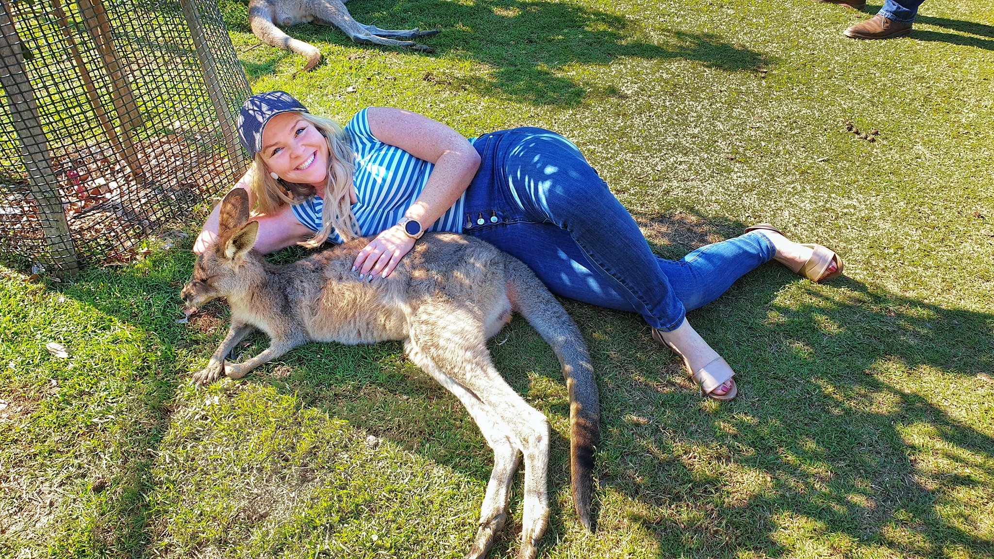 can you eat cute australian animals - kangaroo