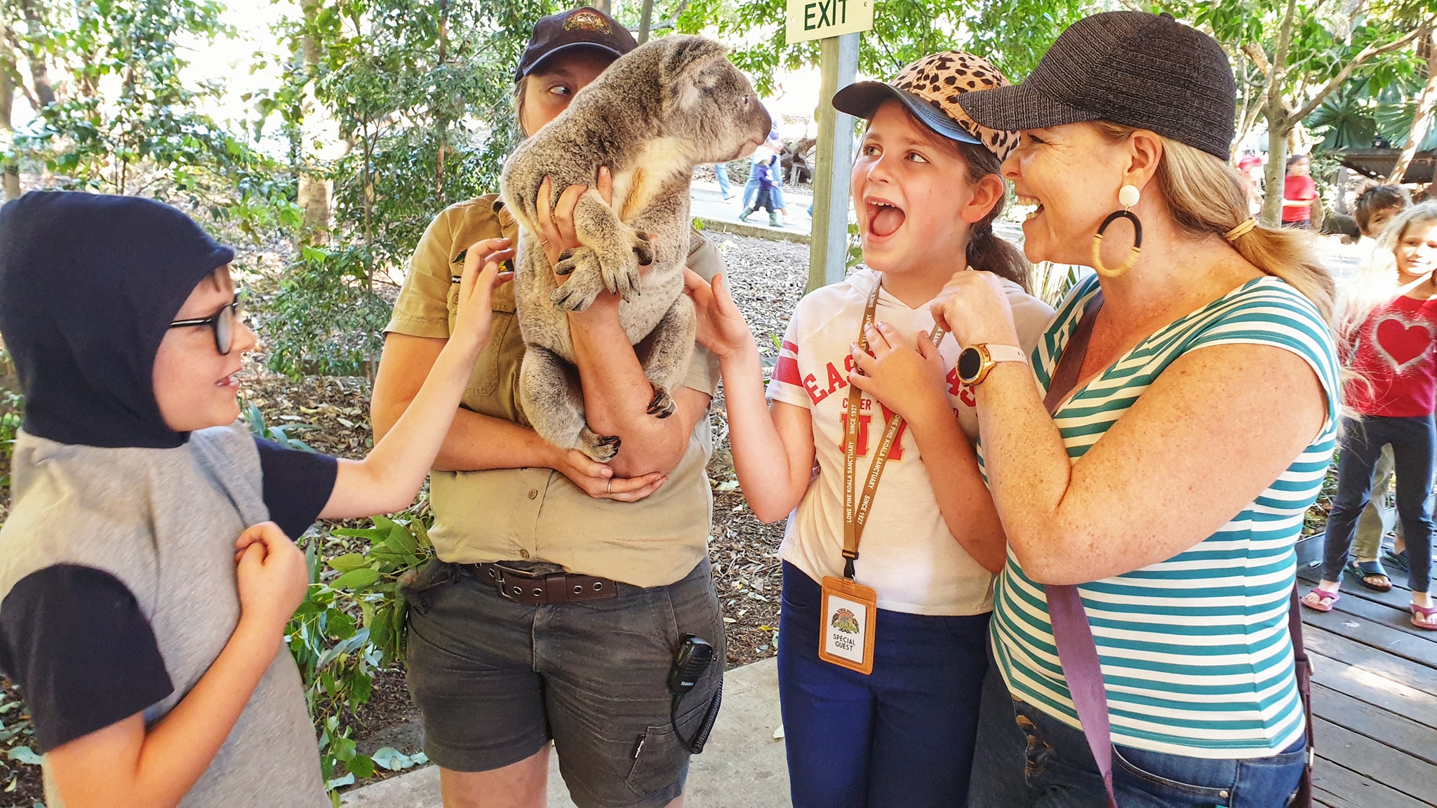 Australia's border opening - koala