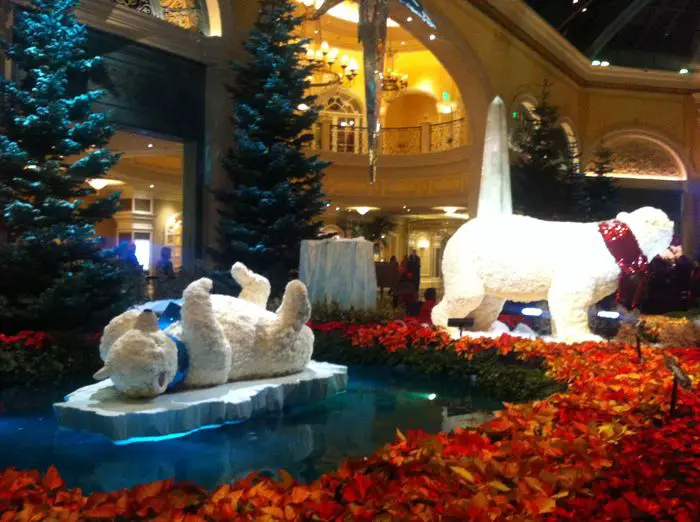 Las Vegas with kids -  Bellagio