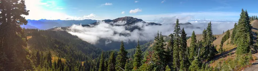 Olympic National Park - Hurricane Ridge