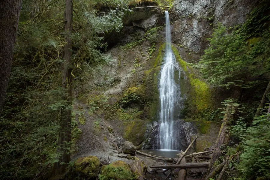 Olympic National Park - Marymere Waterfall