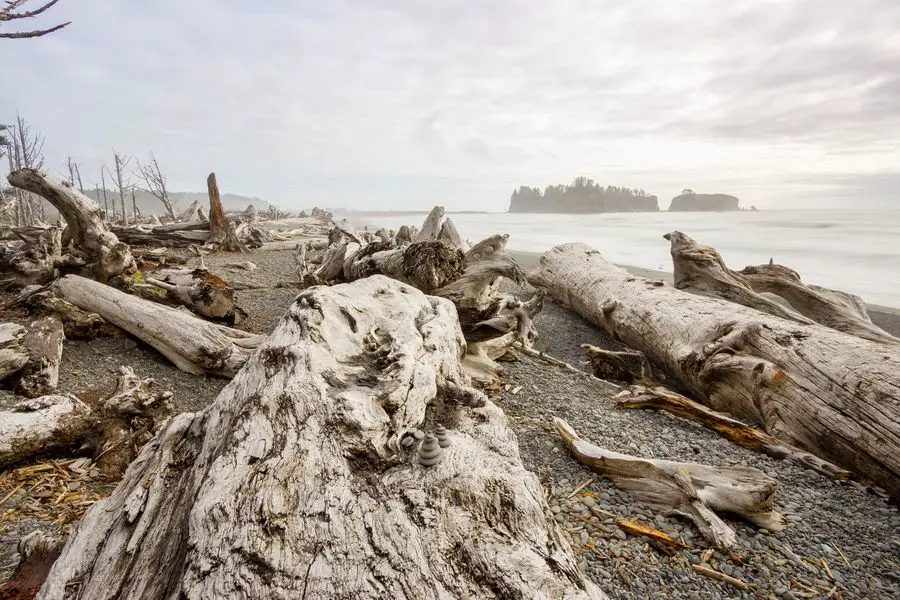 Olympic National Park -  - Rialto Beach