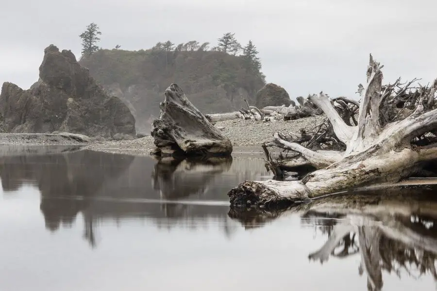 Olympic National Park - Creepy Beach