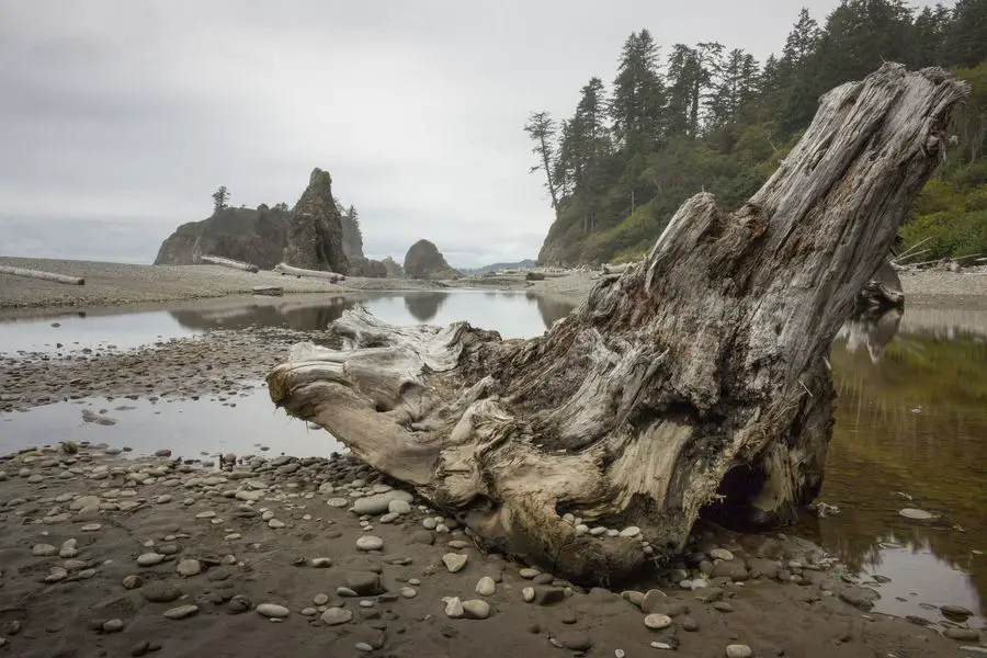 Olympic National Park - Ruby