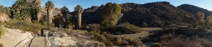 San Diego to Las Vegas drive - pano Joshua Tree