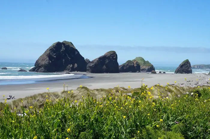 14 Day Pacific Northwest Road Trip - Oregon coast