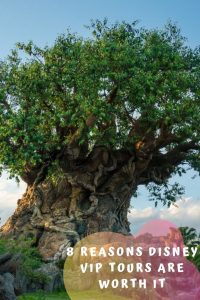 Pinterest Disney VIP tours