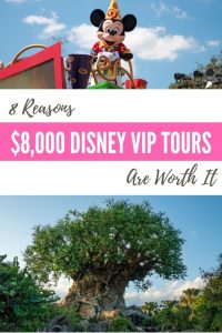 Pinterest Disney VIP tours