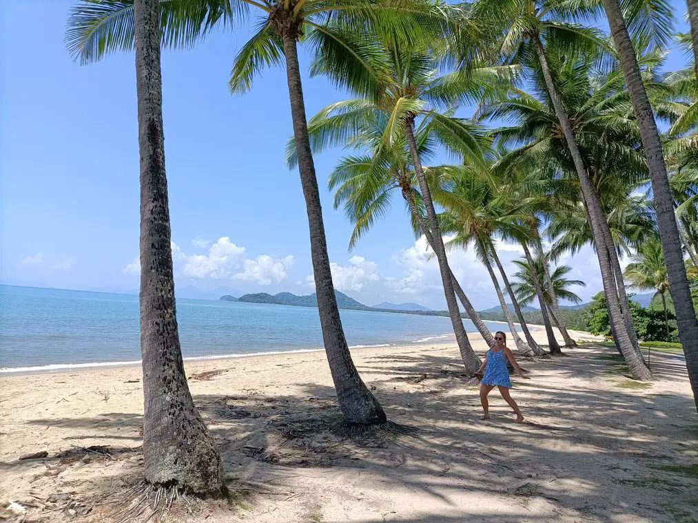 Things To Do When The Border Opens in Australia - Palm Cove