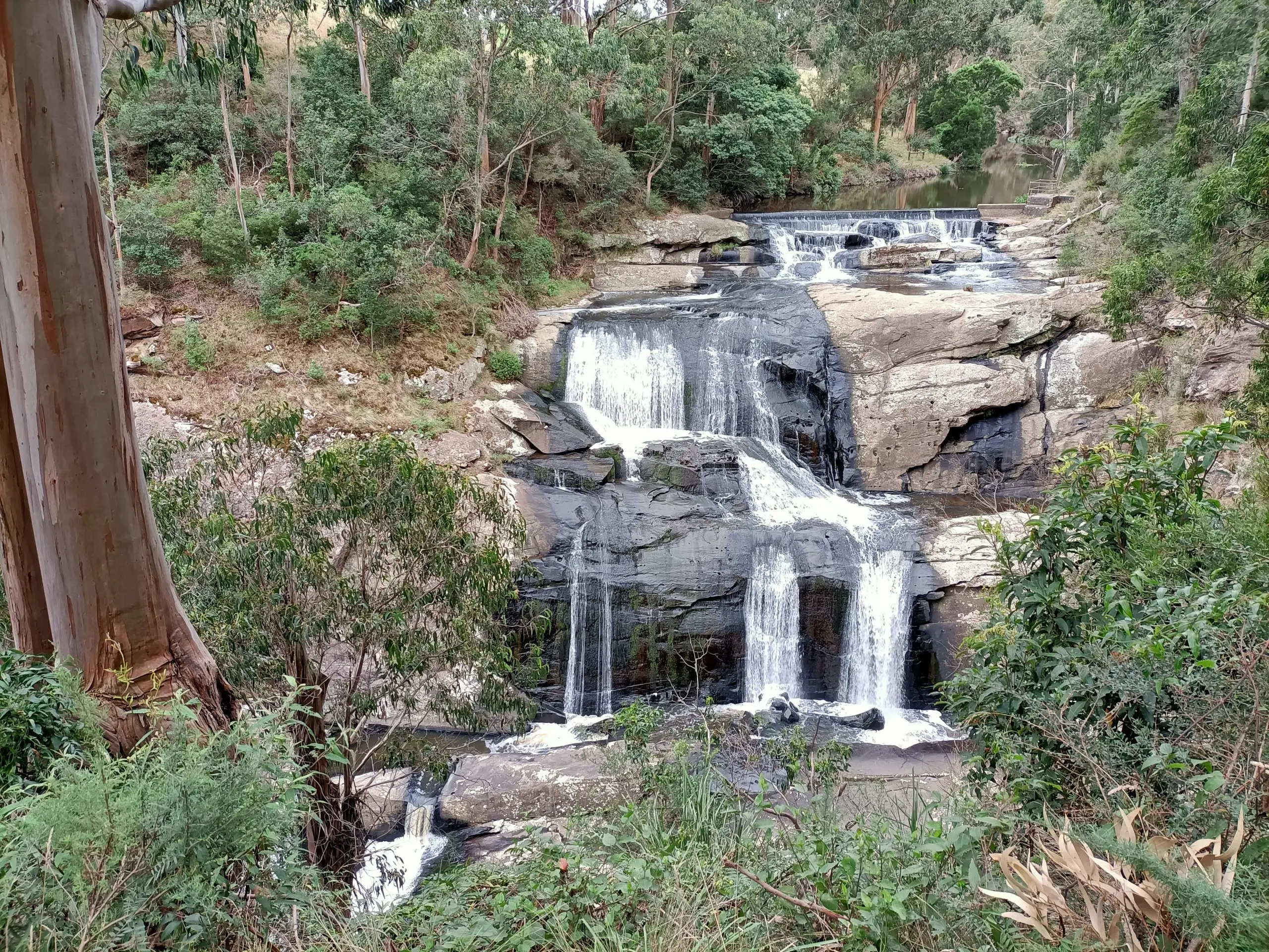 Reasons to love Melbourne - Waterfalls