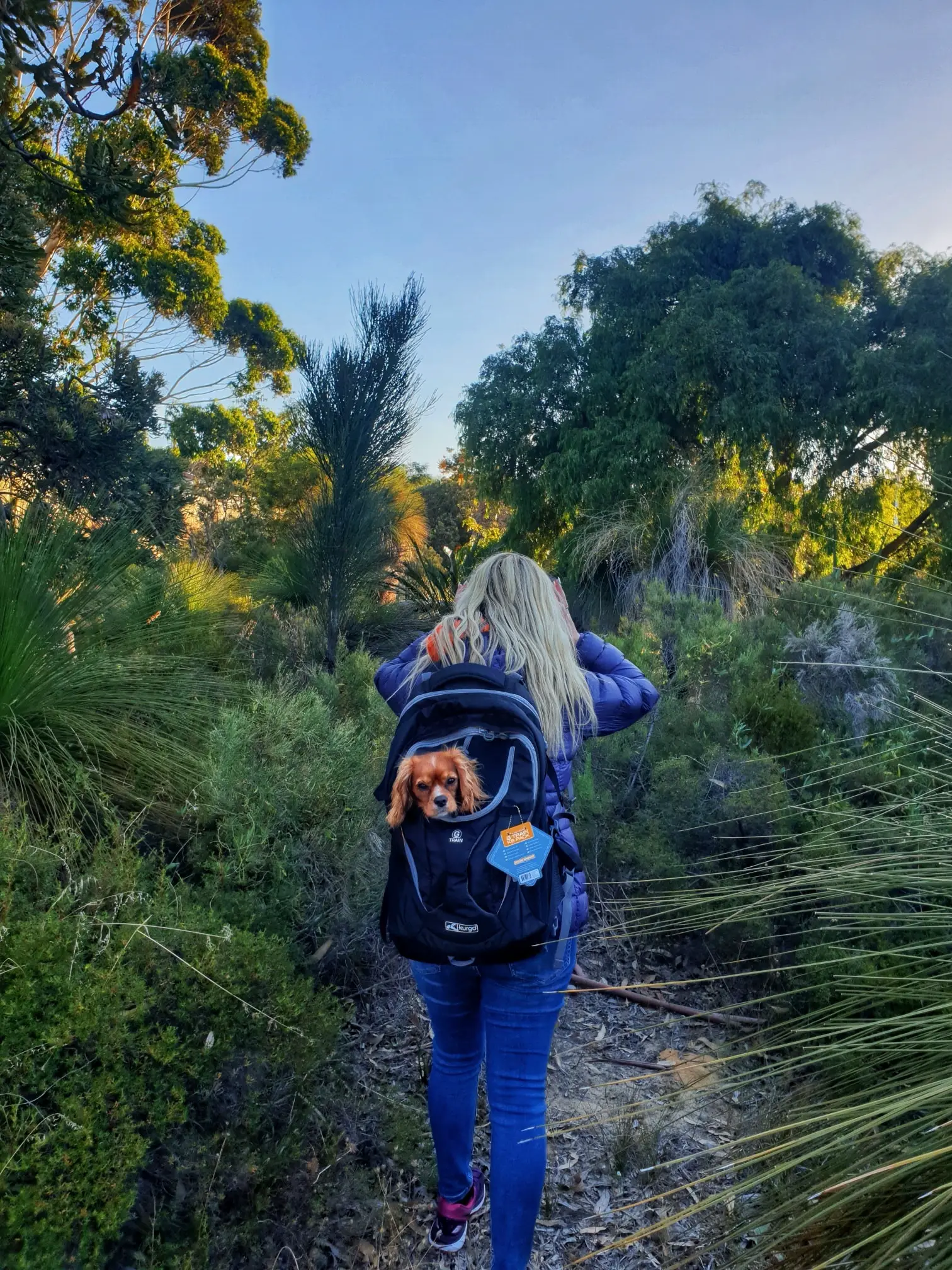 girl hiking