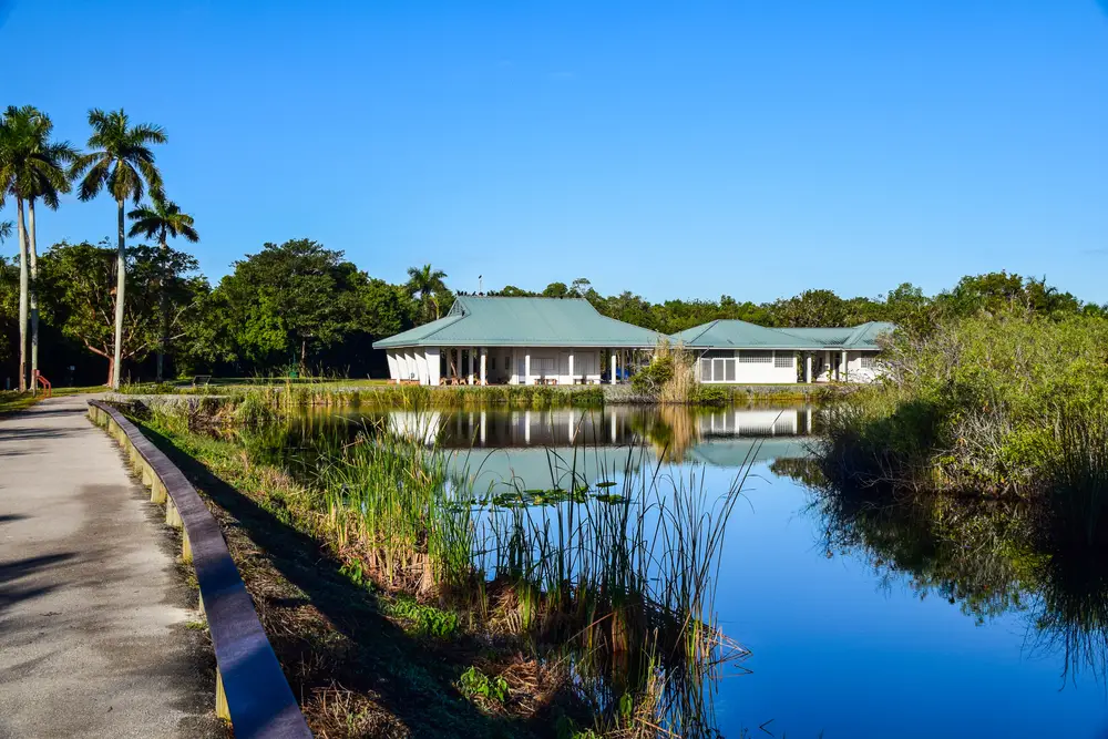 Things To Do In Florida everglades