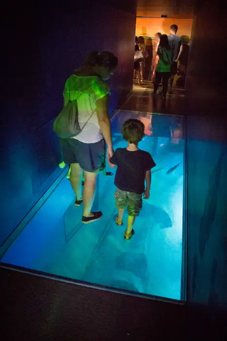 London With Kids - Aquarium