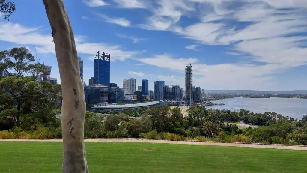 Perth Family Weekend Holiday Itinerary - Kings Park city view