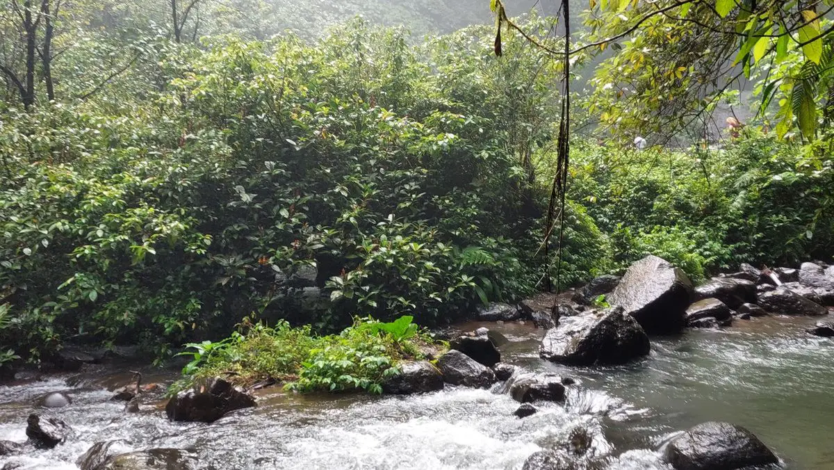 Lemukih Falls: Bali’s Secret Natural Water Slide 
