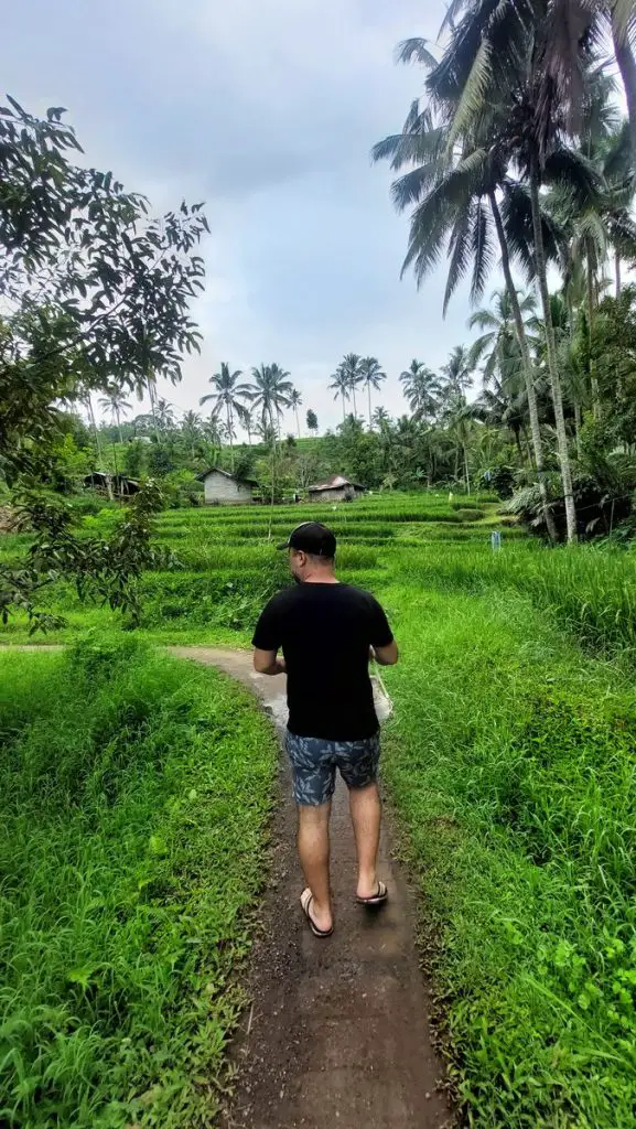 Rice terrace hike
