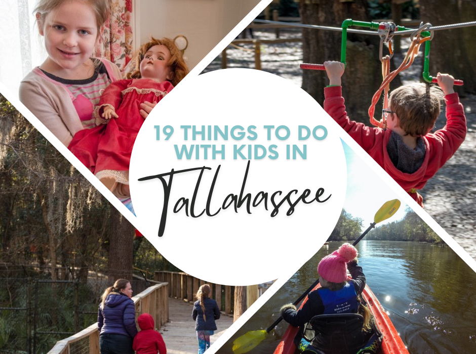 Things To Do In Tallahassee THE 10 BEST Things To Do In Tallahassee