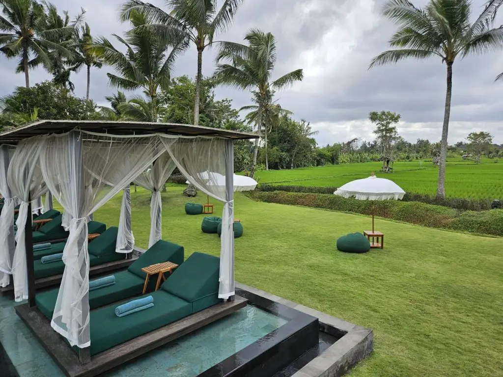 Gdas Bali Ubud Luxury Accommodation - Rice field views