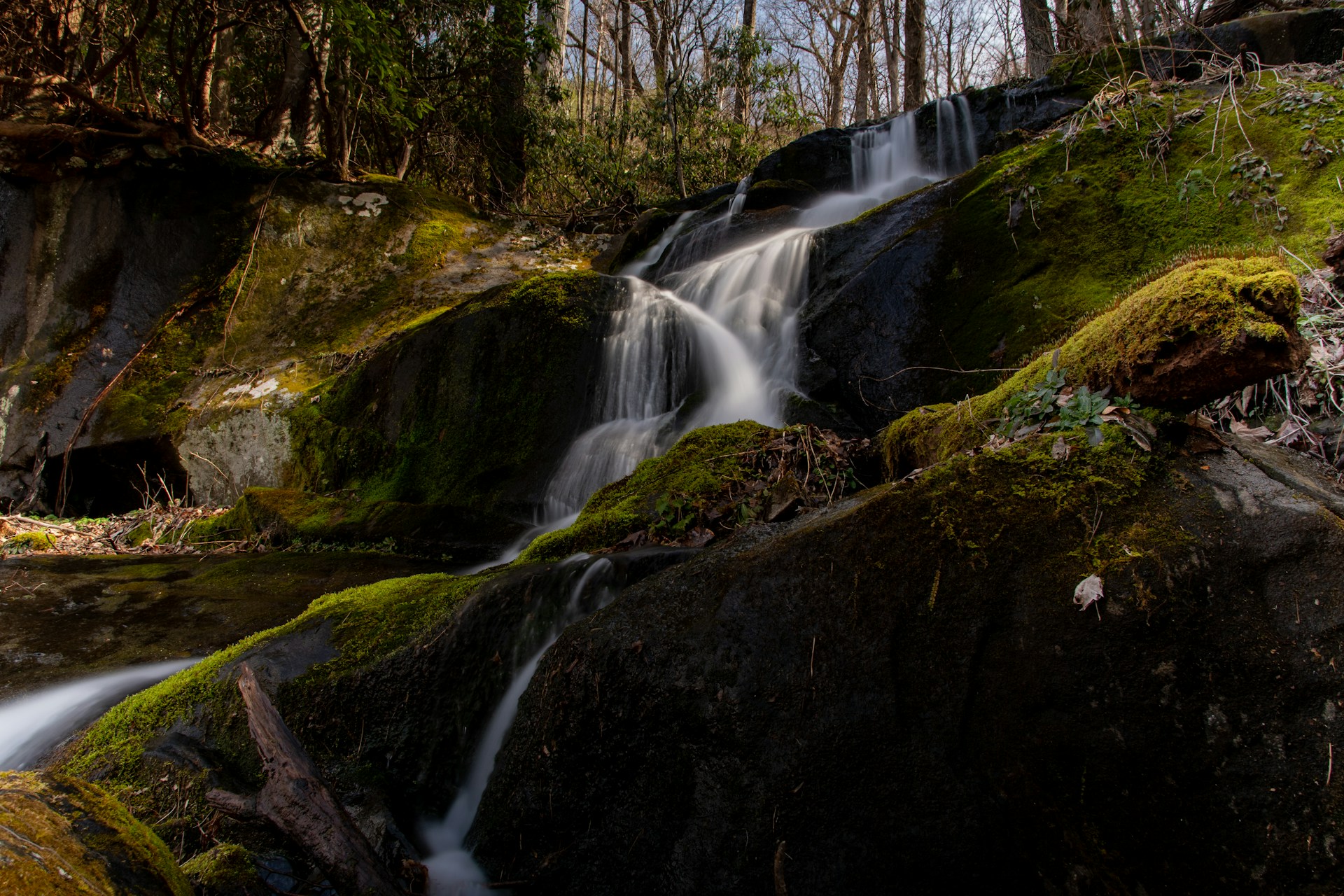 Gatli A First-Timer’s Guide to Visiting Gatlinburg | Explore With Erin