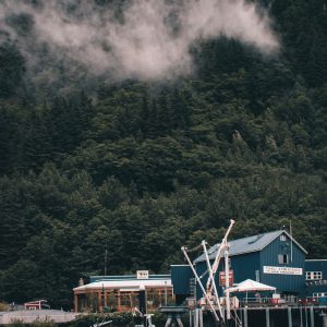 blue and white house