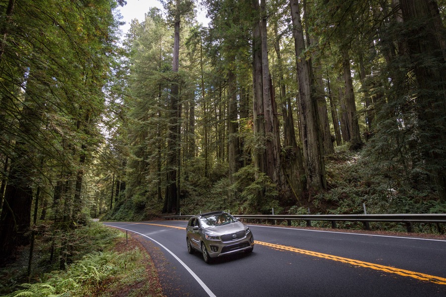  Our 2-Year North America Road Trip Adventure