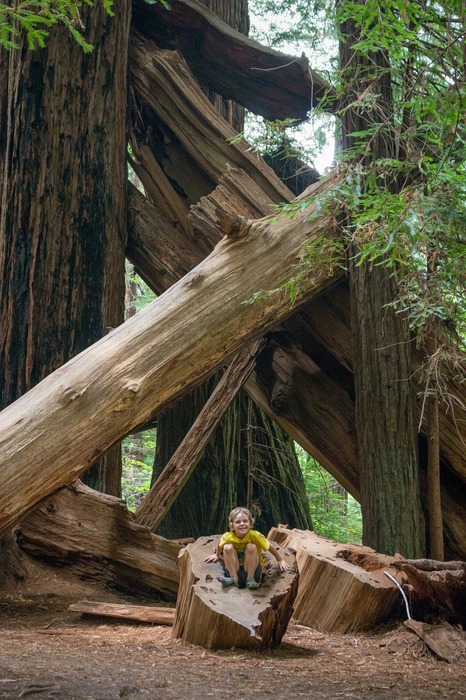 2 Year North America Road Trip Itinerary - USA & Canada