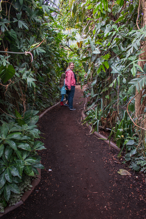 Stuttgart With Kids: The Ultimate Stuttgart Family Travel Guide