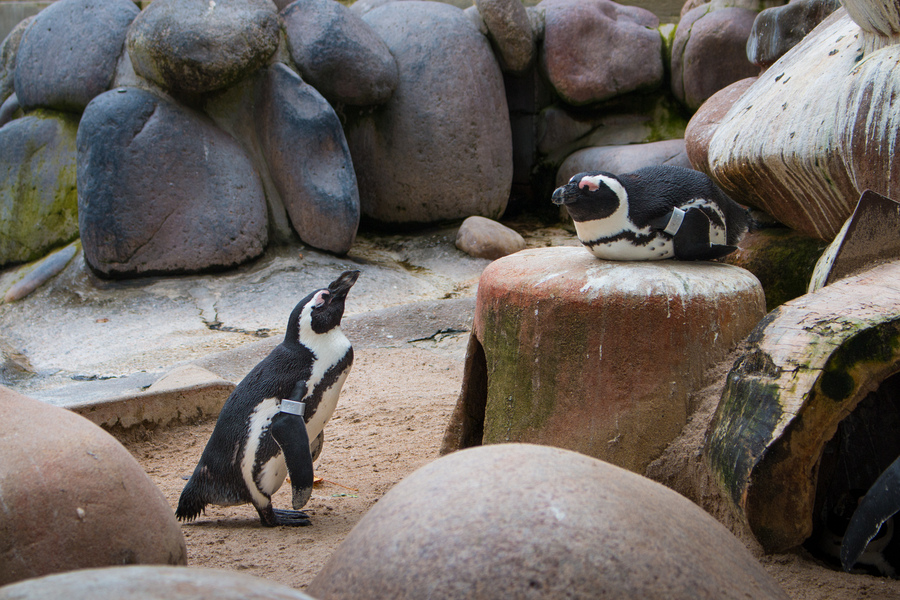 Stuttgart With Kids: The Ultimate Stuttgart Family Travel Guide