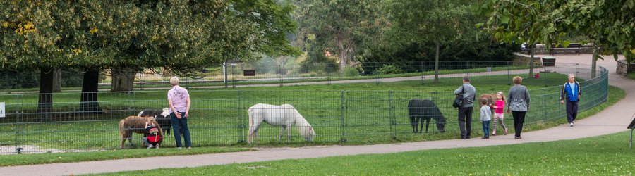 Stuttgart With Kids: The Ultimate Stuttgart Family Travel Guide