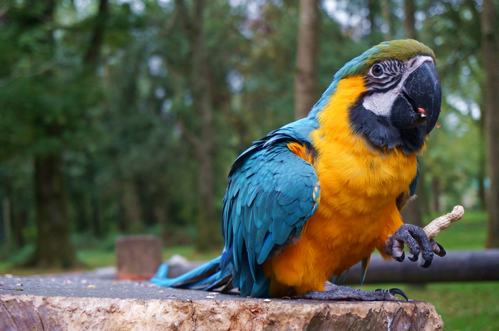 12 day Ireland Road Trip FOTA