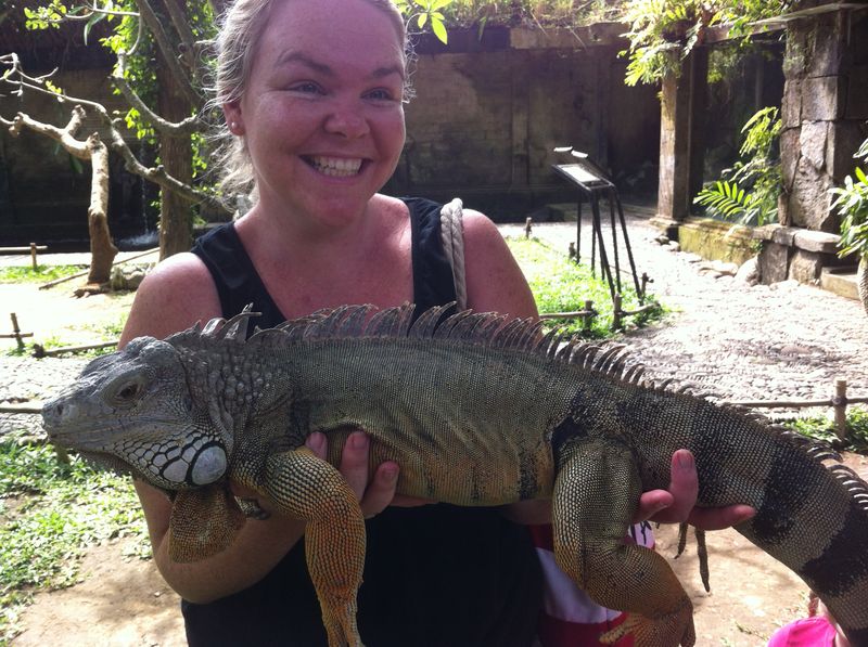 Bali Safari Park review with kids - komodo dragon
