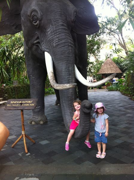 Bali safari