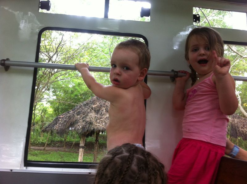 Bali Safari Park review with kids - safari bus