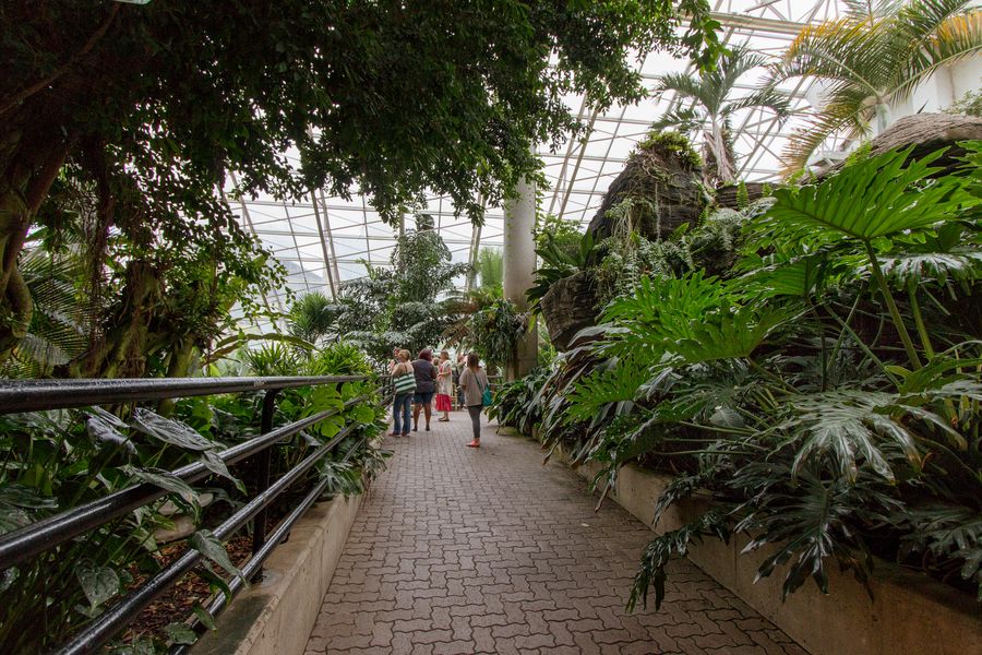 Things to Do in Fort Wayne With Kids - Botanic Gardens