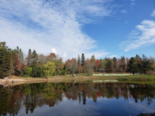 Things To Do In Moncton With Kids: Family Travel Guide