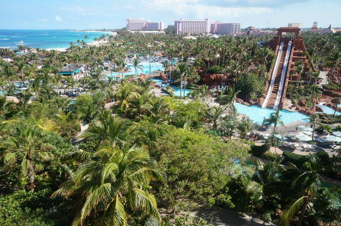Atlantis Aquaventure With Kids