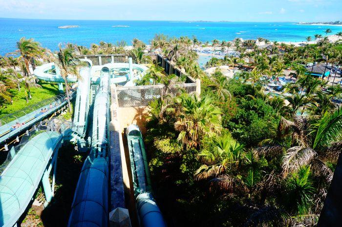 Atlantis Aquaventure With Kids slides