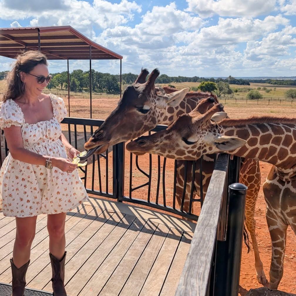 OG Family Travel Bloggers Still Inspiring Parents - Mommy Travels