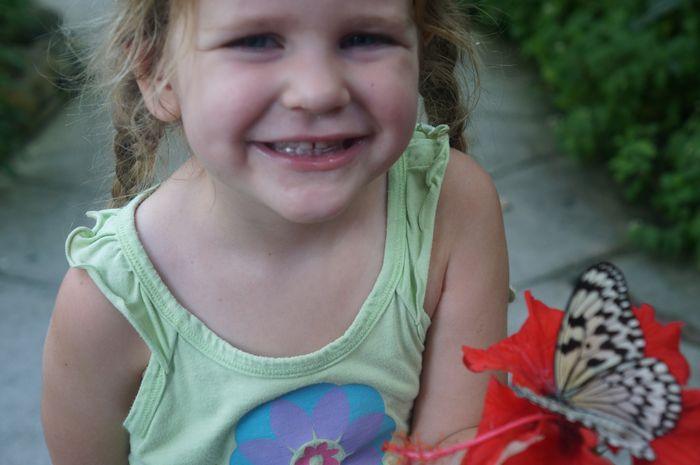 Best Things to Do in Penang With Kids | Butterfly Farm
