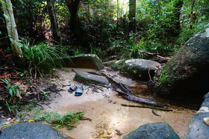 living in Penang with kids