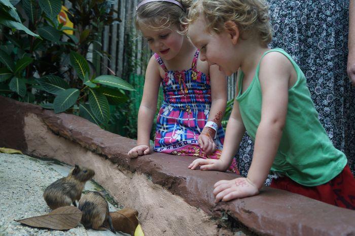 Best Things to Do in Penang With Kids | Family Guide