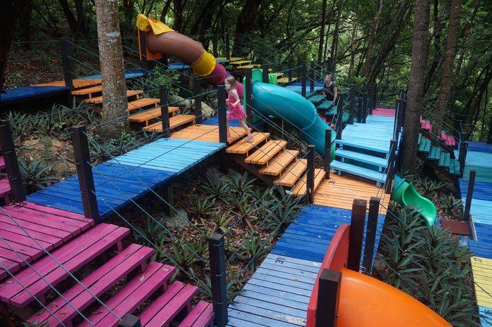 Best Things to Do in Penang With Kids | Tropical Spice Farm