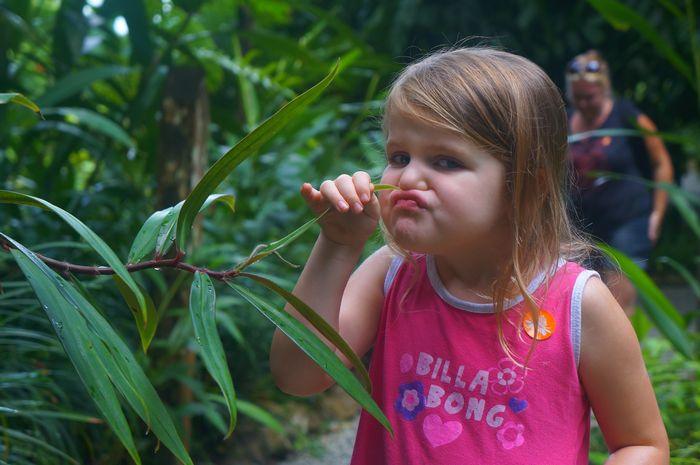 Best Things to Do in Penang With Kids | Family Guide