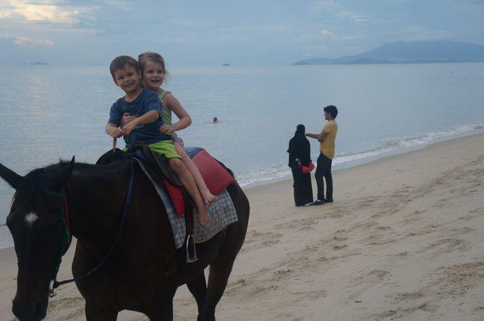 Best Things to Do in Penang With Kids | Horse ride beach
