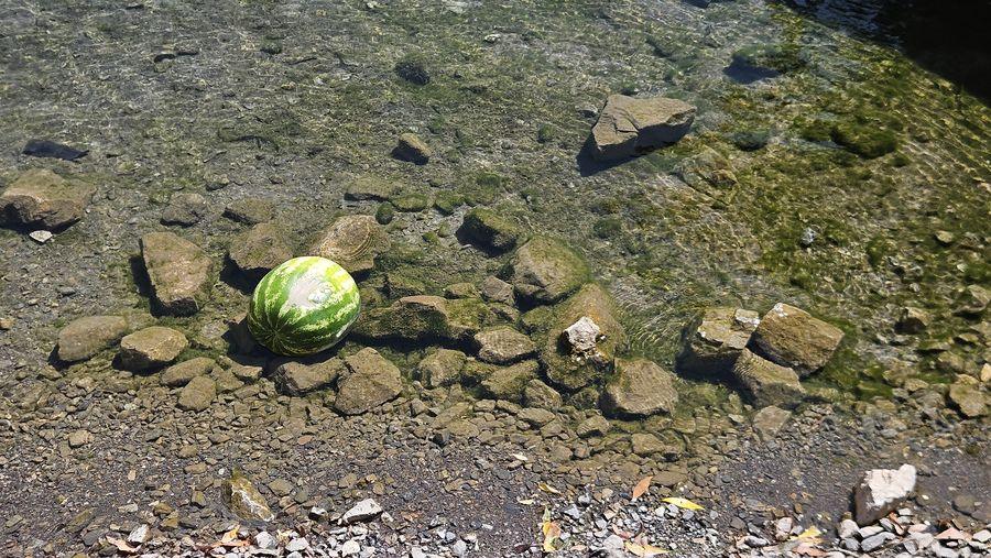 Tajikistan Day Trip from Samarkand: Watermelon cooling in nature