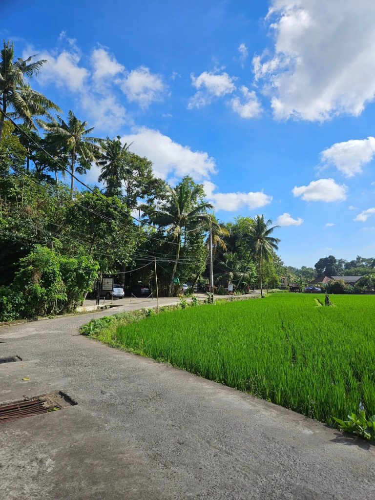 Penestanan Ubud