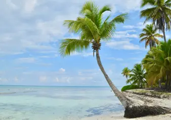 4 Benefits of the Popular Caribbean CBI Program